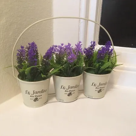 Swinside 게스트하우스 3*