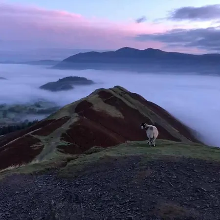 게스트하우스 Swinside